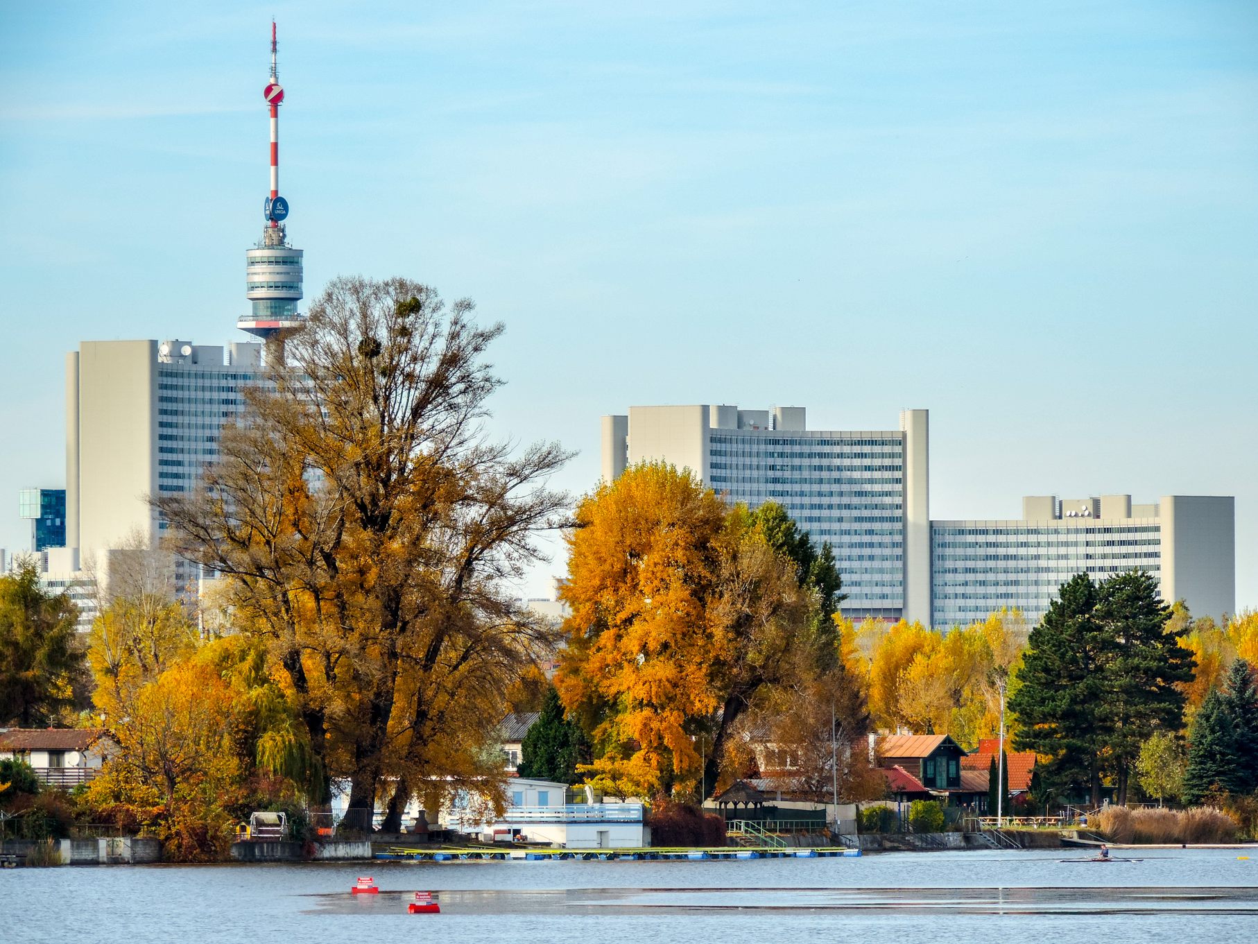 Herbstliche Donauinsel-Bilanz: Saisonende für die Copa-Cruise und die Mähschafe.