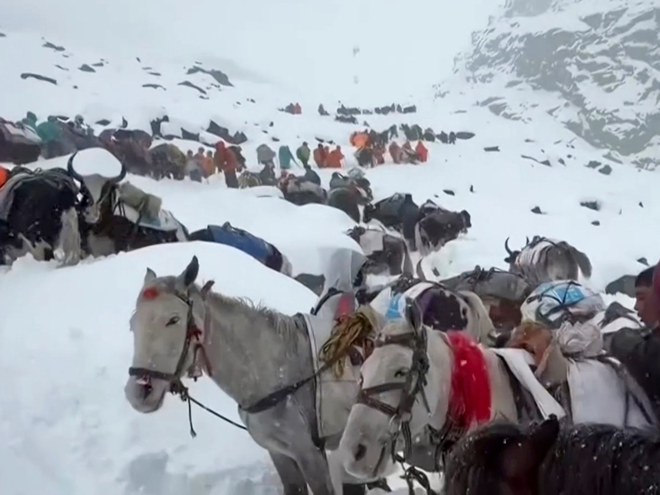 Die unerwartet heftigen Schneefälle um den Mount Everest haben in Nepal einen Bergsteiger das Leben gekostet.