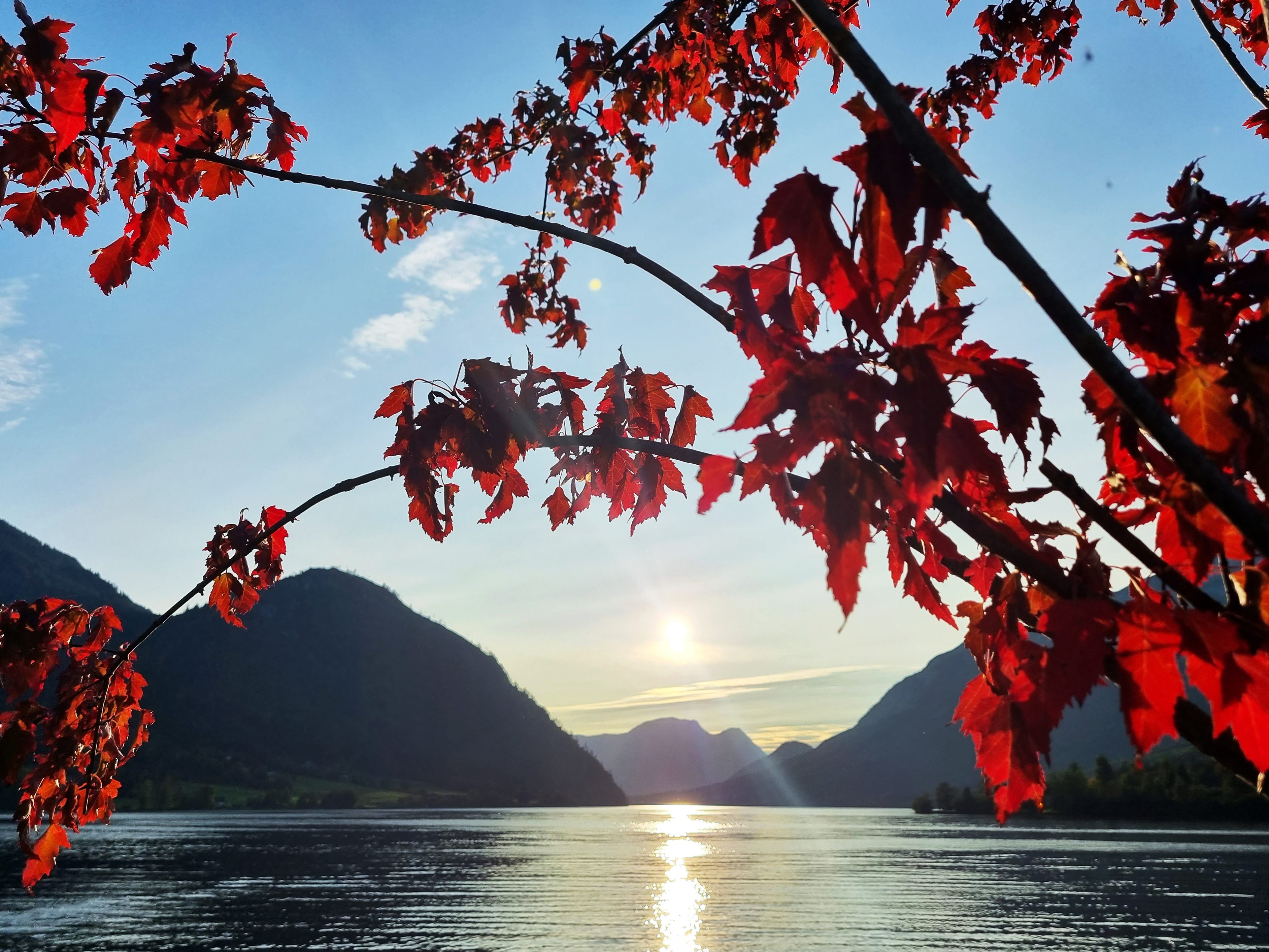 Sonne-und-milde-Temperaturen-am-Wochenende-erwartet