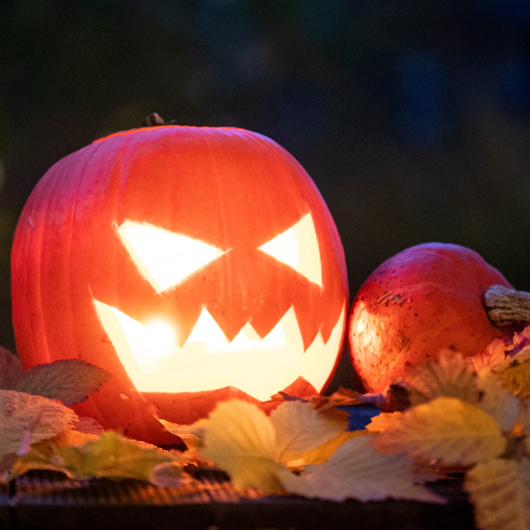 Halloween bringt dem Handel rund 90 Mio. Umsatz.
