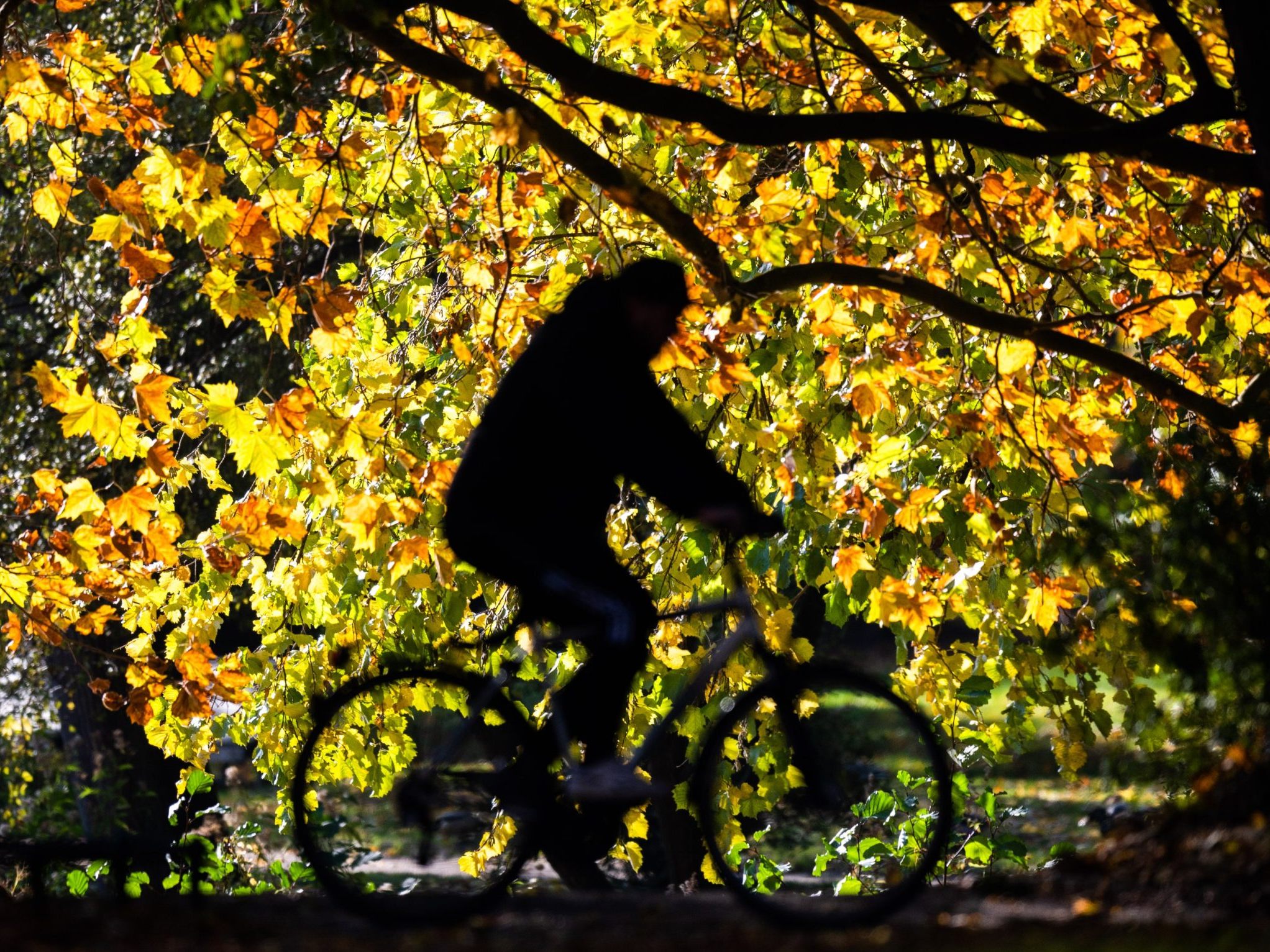 Im September wurden überdurchschnittlich viele Sommertage verzeichnet. Im September wurden überdurchschnittlich viele Sommertage verzeichnet.