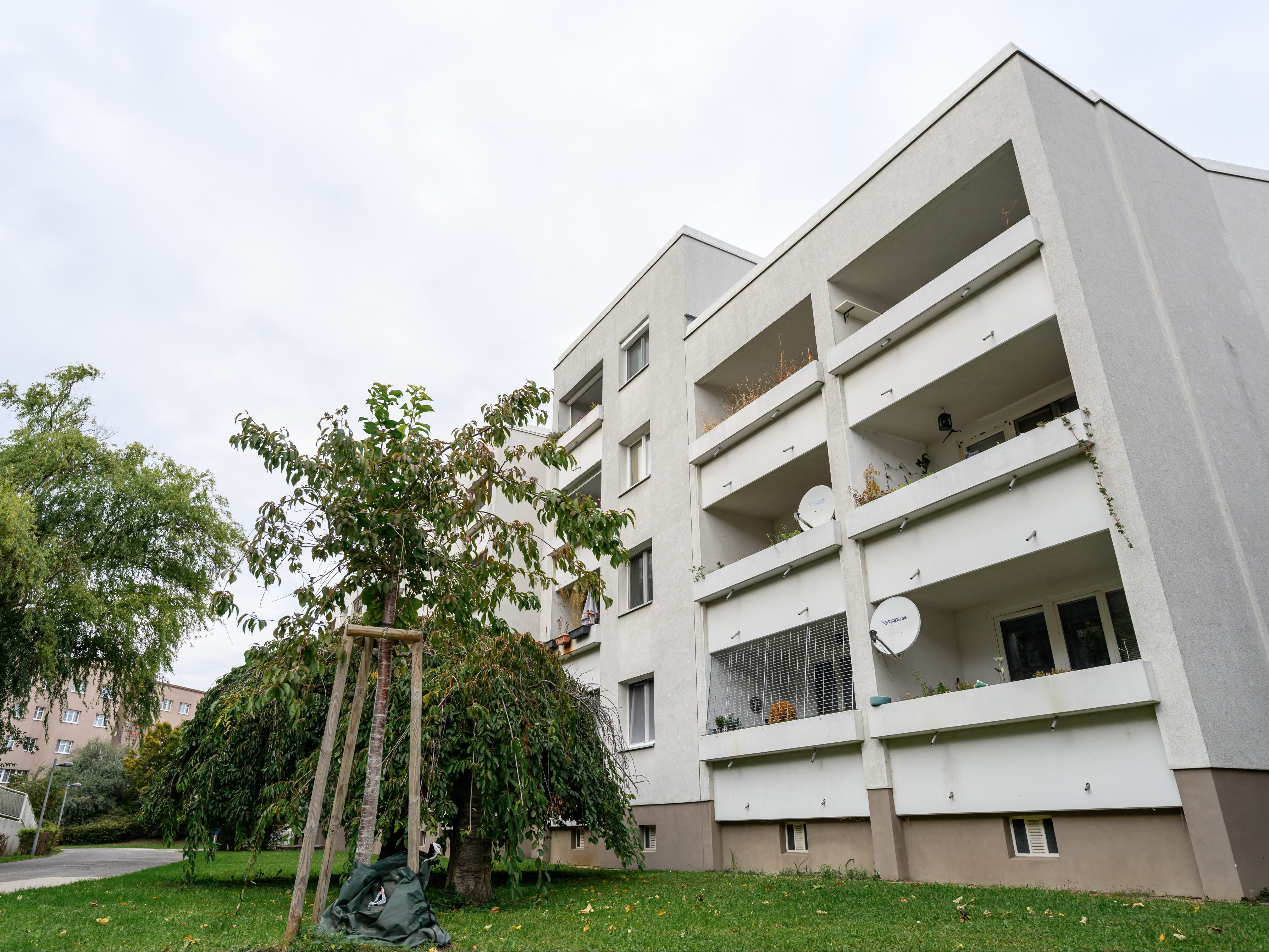 Der 50-Jährige wurde festgenommen. Der 50-Jährige wurde festgenommen.