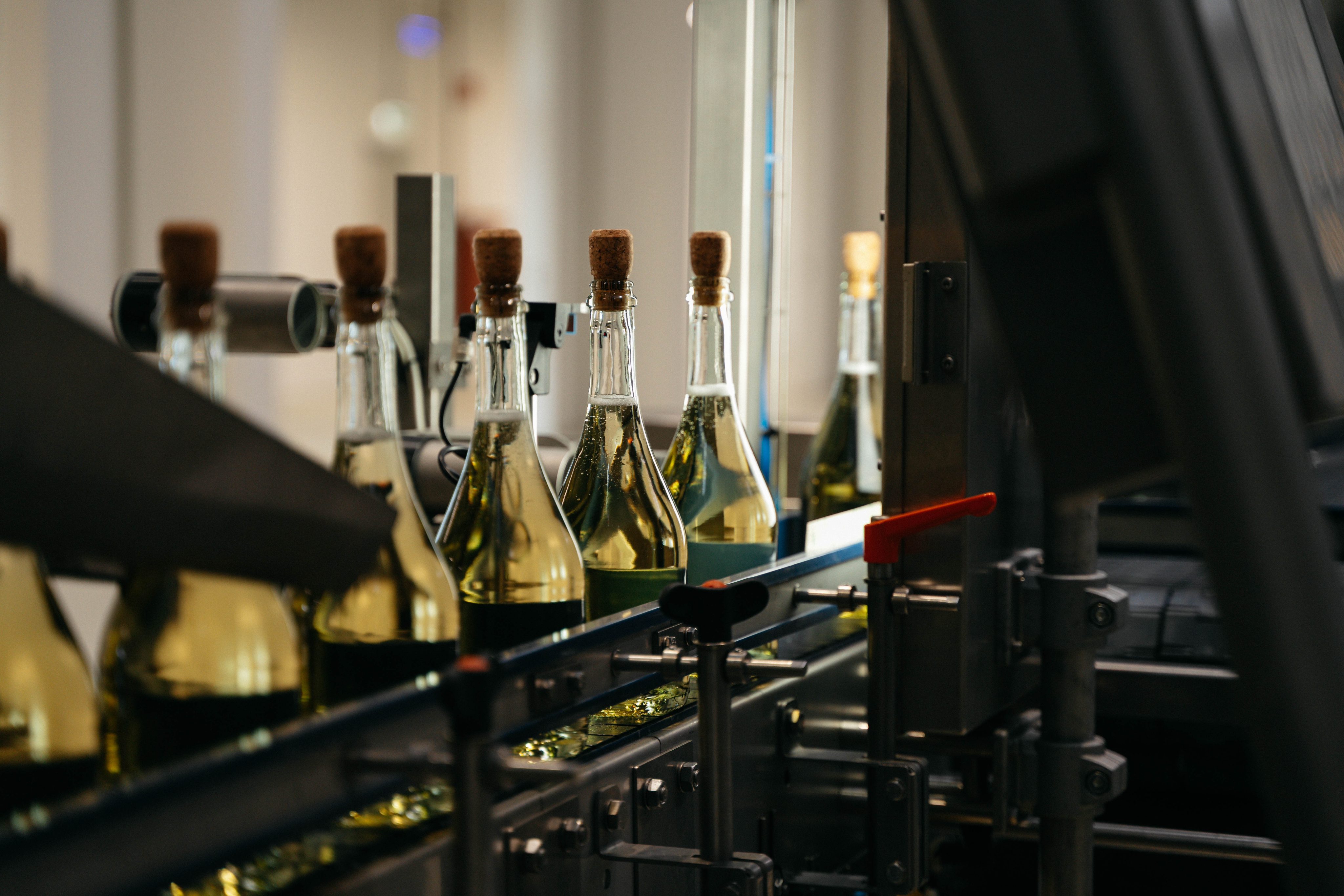 ©APA/RALPH MARTIN DARABOS