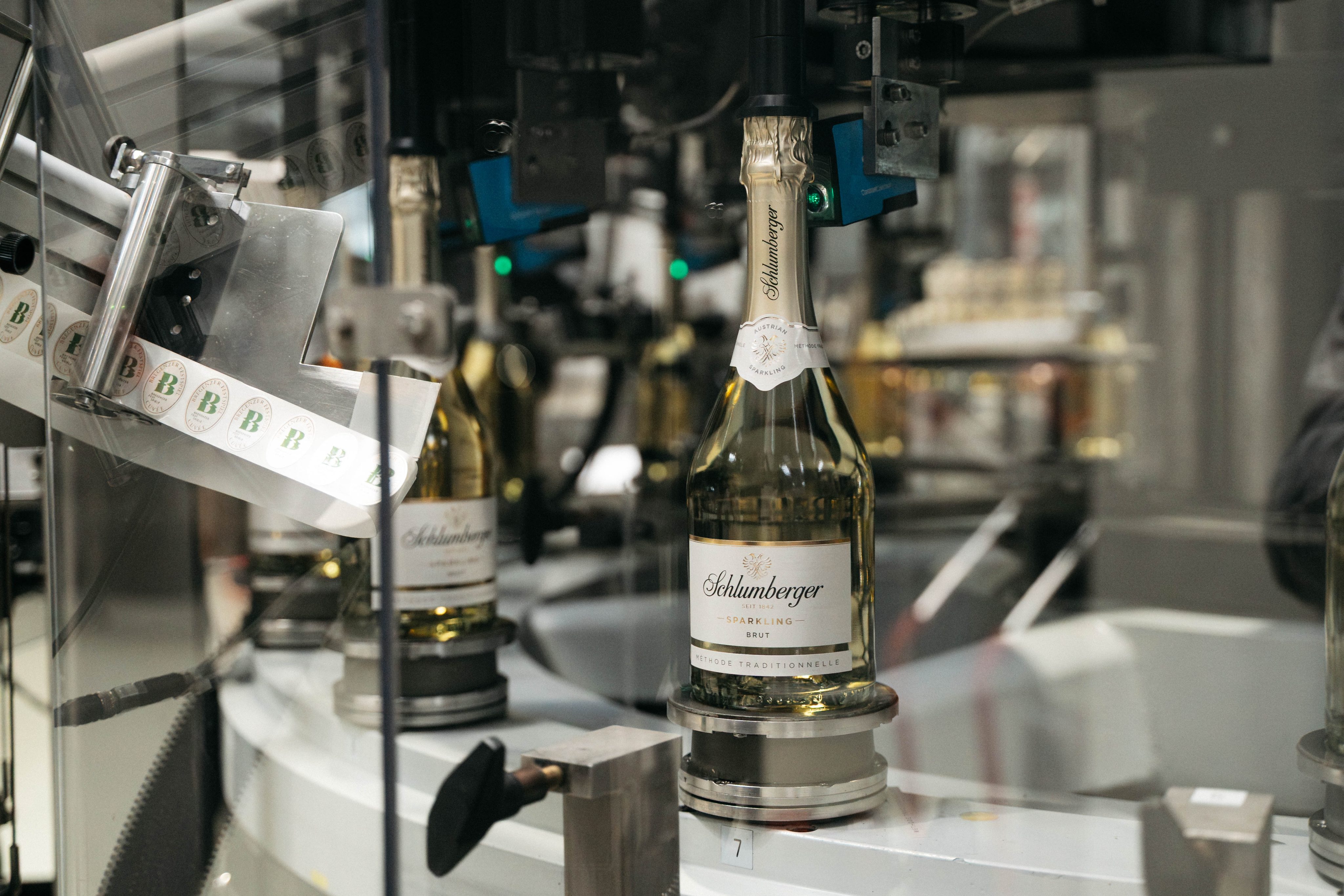 ©APA/RALPH MARTIN DARABOS