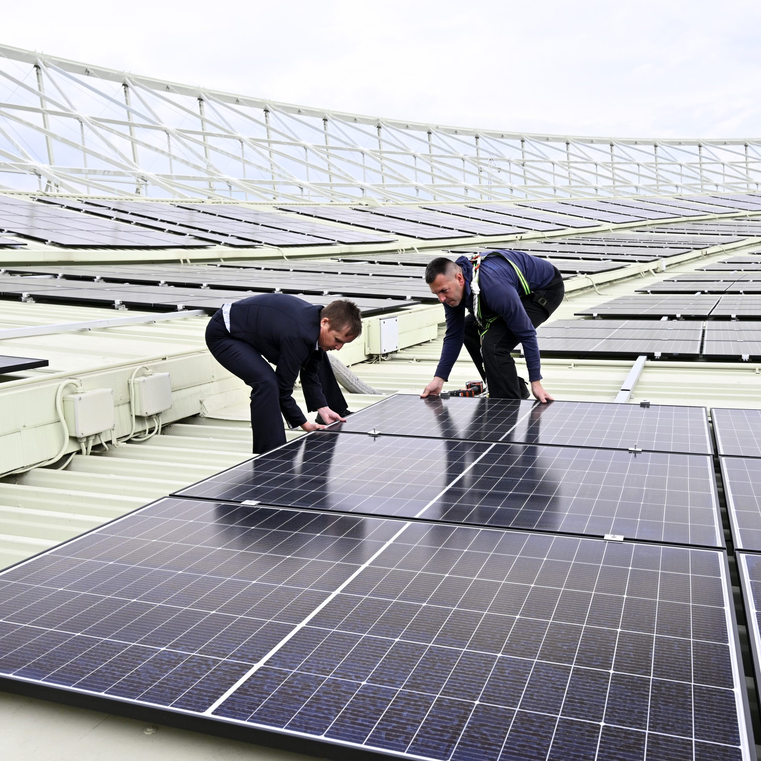 Der PV-Boom in Österreich hielt 2024 an.