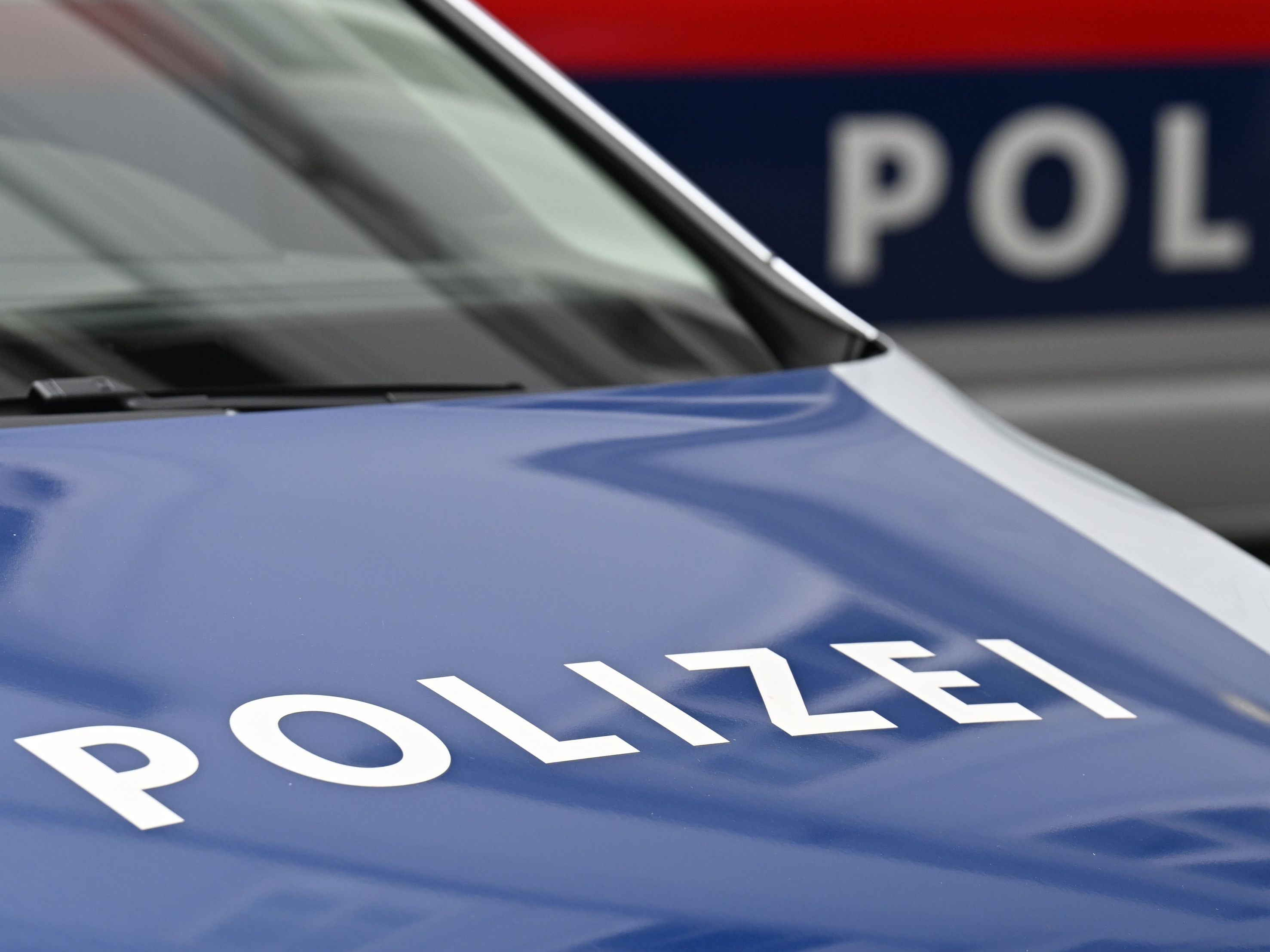 Wiener Polizei vermeldete mehrere Festnahmen. Wiener Polizei vermeldete mehrere Festnahmen.