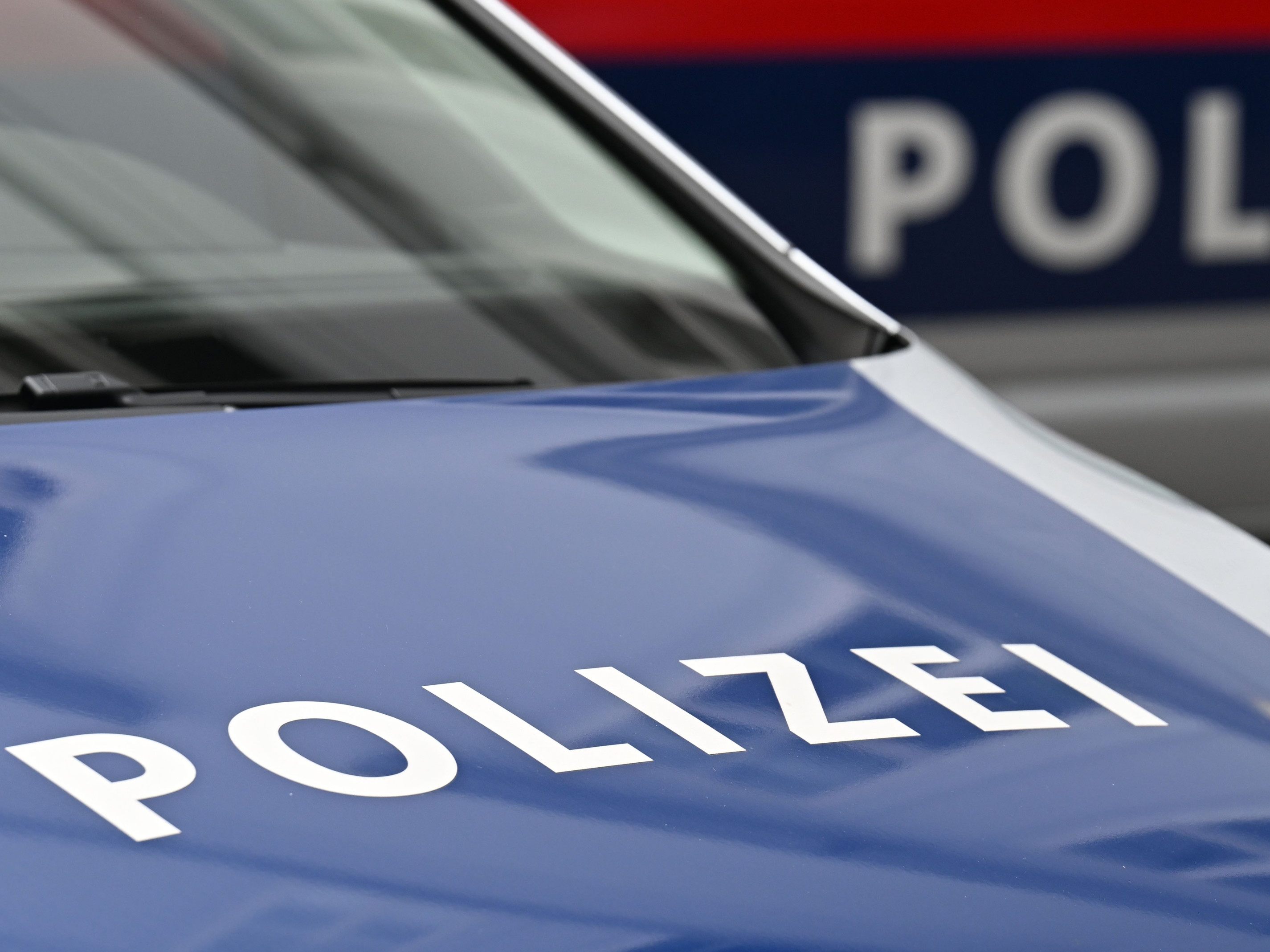 Zwei Grazer Jugendliche wurden ausgeforscht.