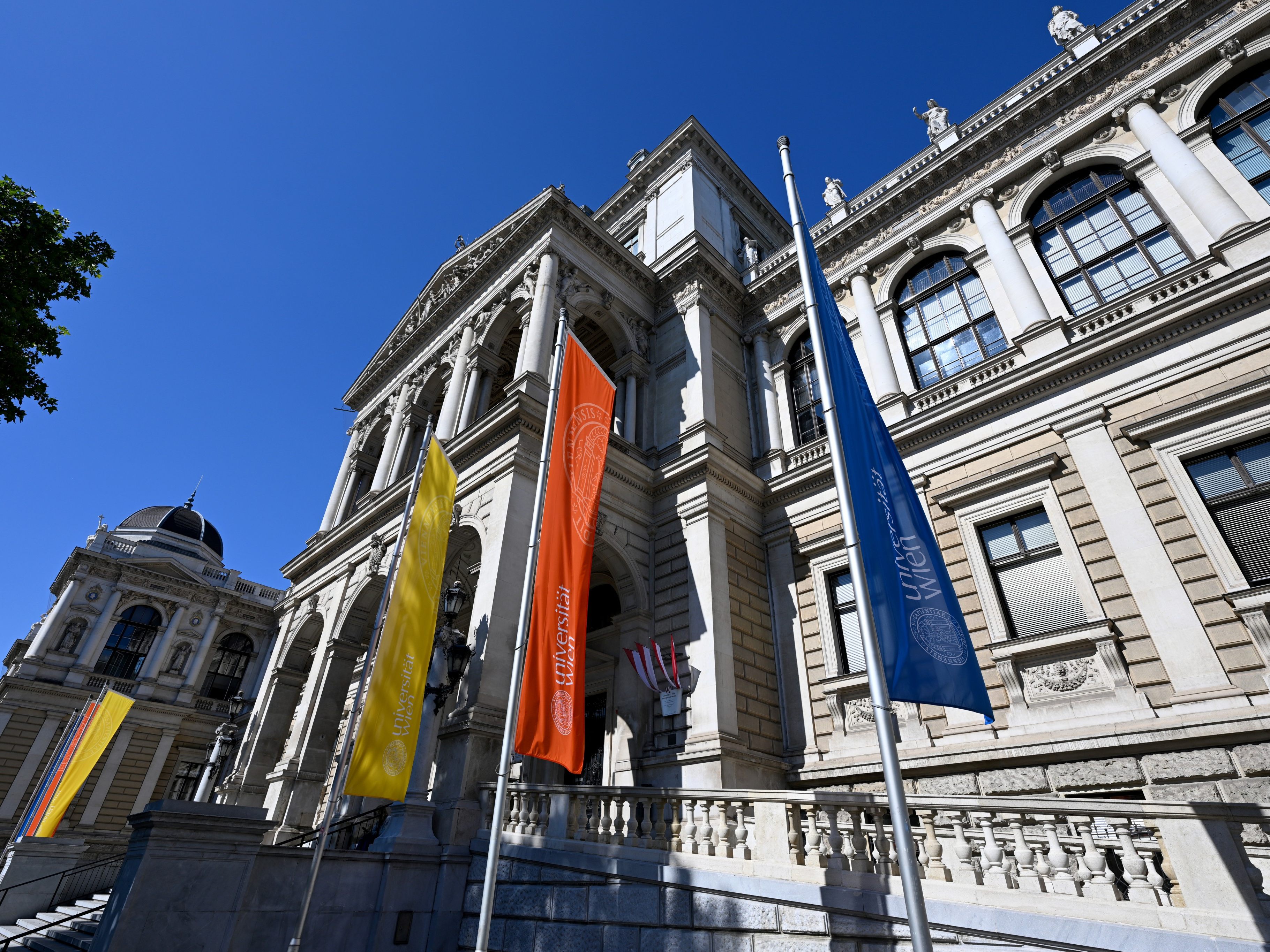 Die Universität Wien ist jetzt unter den Top 100 der Welt. Die Universität Wien ist jetzt unter den Top 100 der Welt.