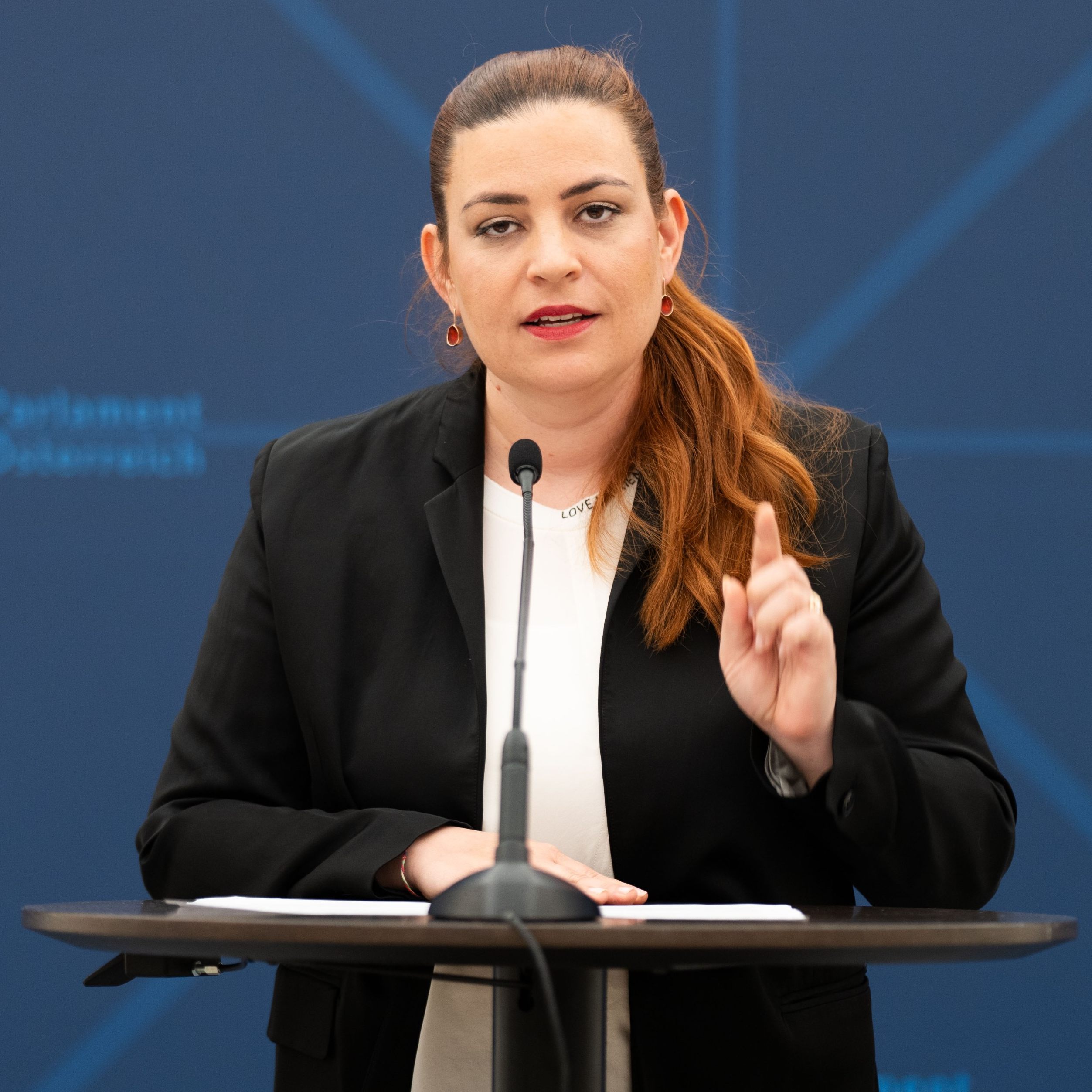 Die Grünen werfen der Regierung Untätigkeit bei der Betrugsbekämpfung vor.