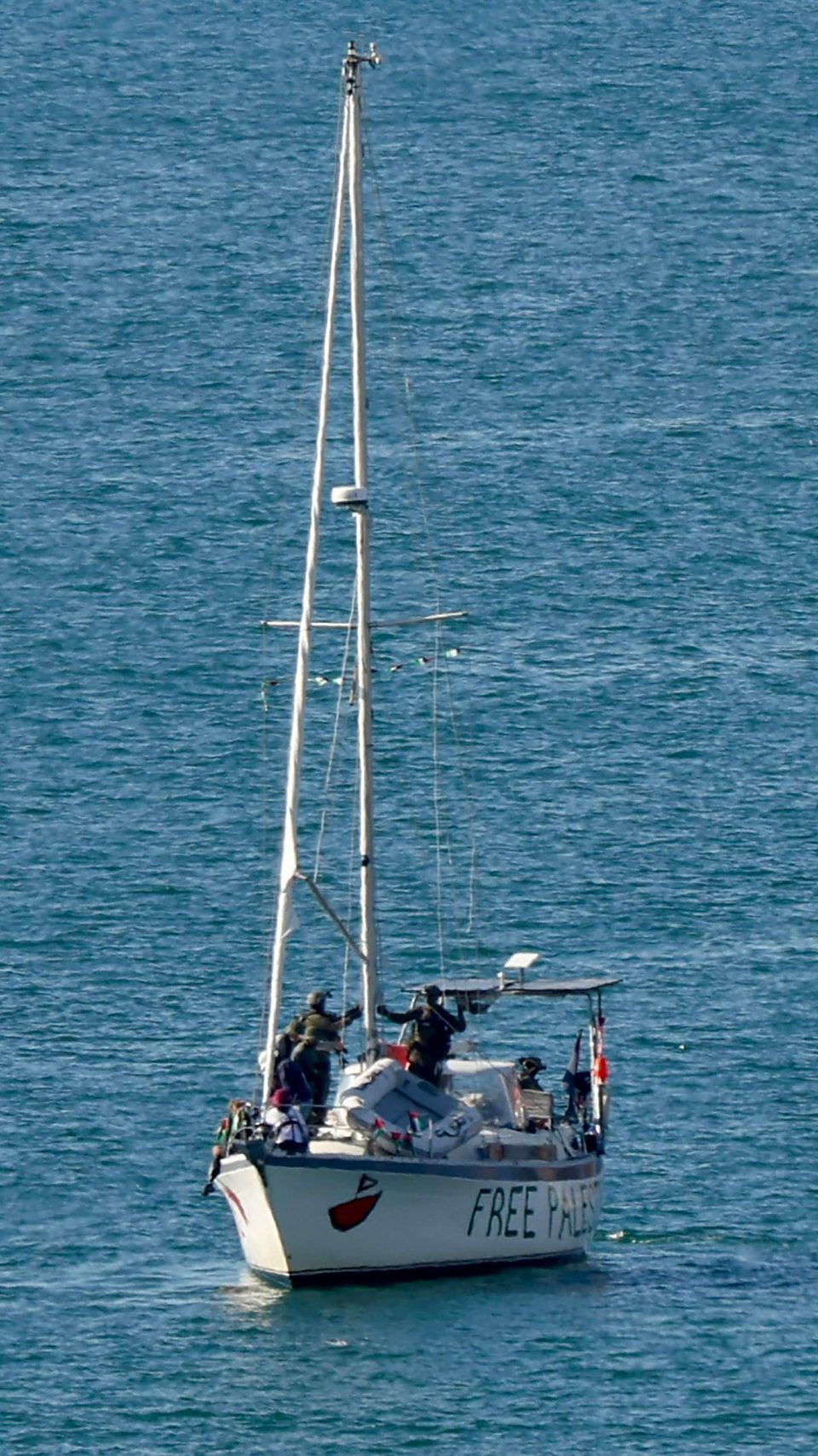 Die vier österreichischen Aktivisten, die an der jüngsten Gaza-Hilfsflotte beteiligt waren, befinden sich in Sicherheit in Israel.