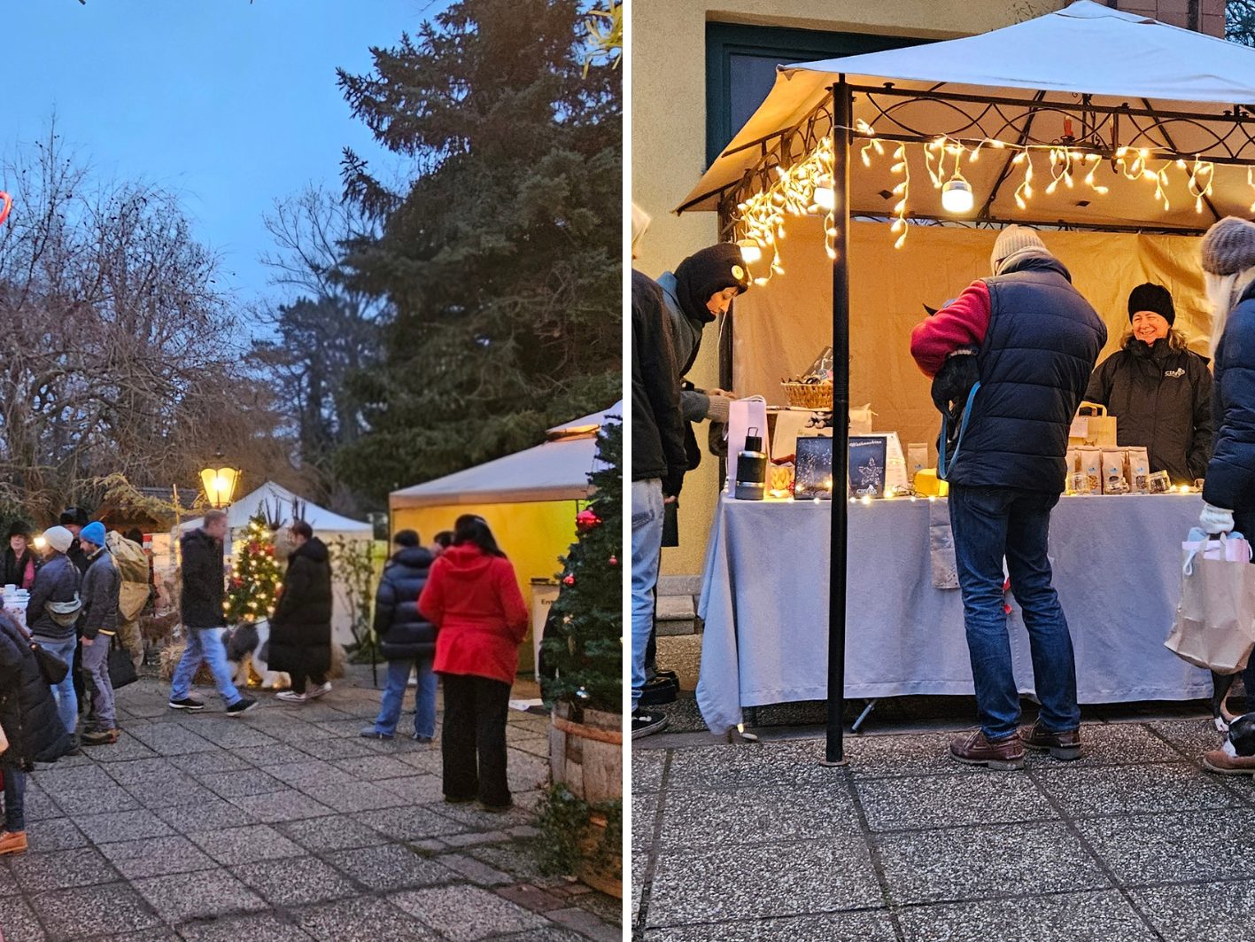 Wiener-Hundeweihnachtsmarkt-l-dt-wieder-ein-Alles-f-r-Vierbeiner-und-Halter