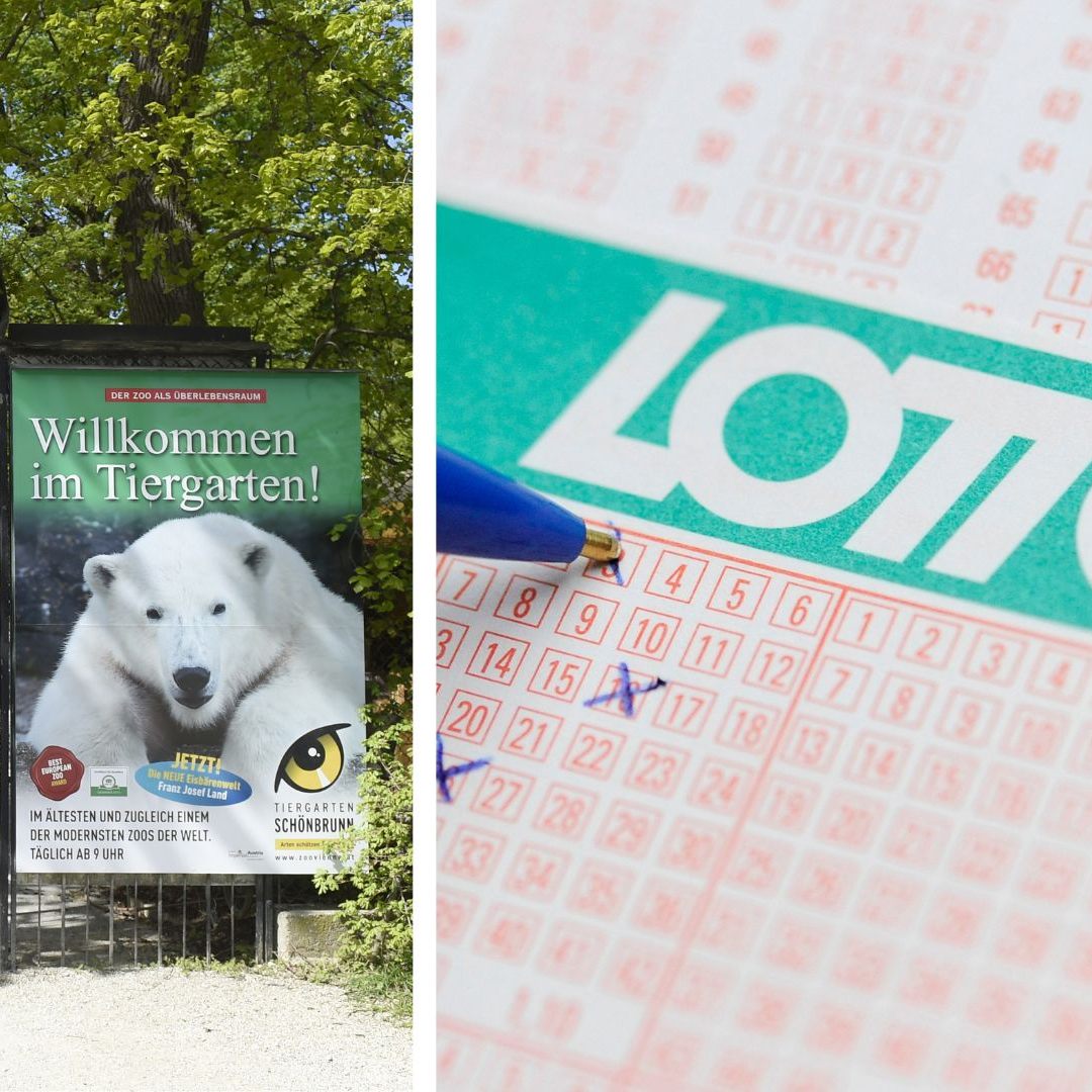 Am Freitag darf man mit einem Produkt der Österreichischen Lotterien gratis in den Wiener Tiergarten Schönbrunn.