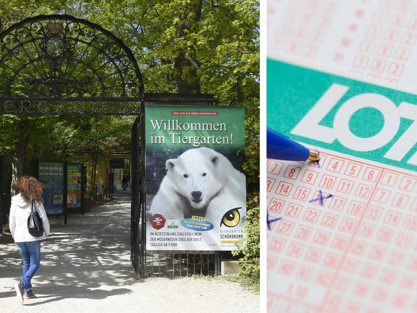 Freier-Eintritt-mit-einem-Los-Lotterien-Tag-im-Wiener-Tiergarten-Sch-nbrunn