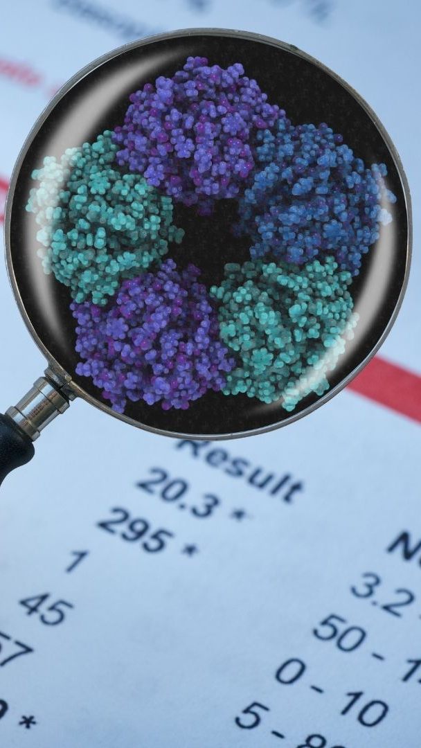 Das Bluteiweiß Pentraxin 3 soll als möglicher Biomarker zur Identifikation von Long-Covid dienen.