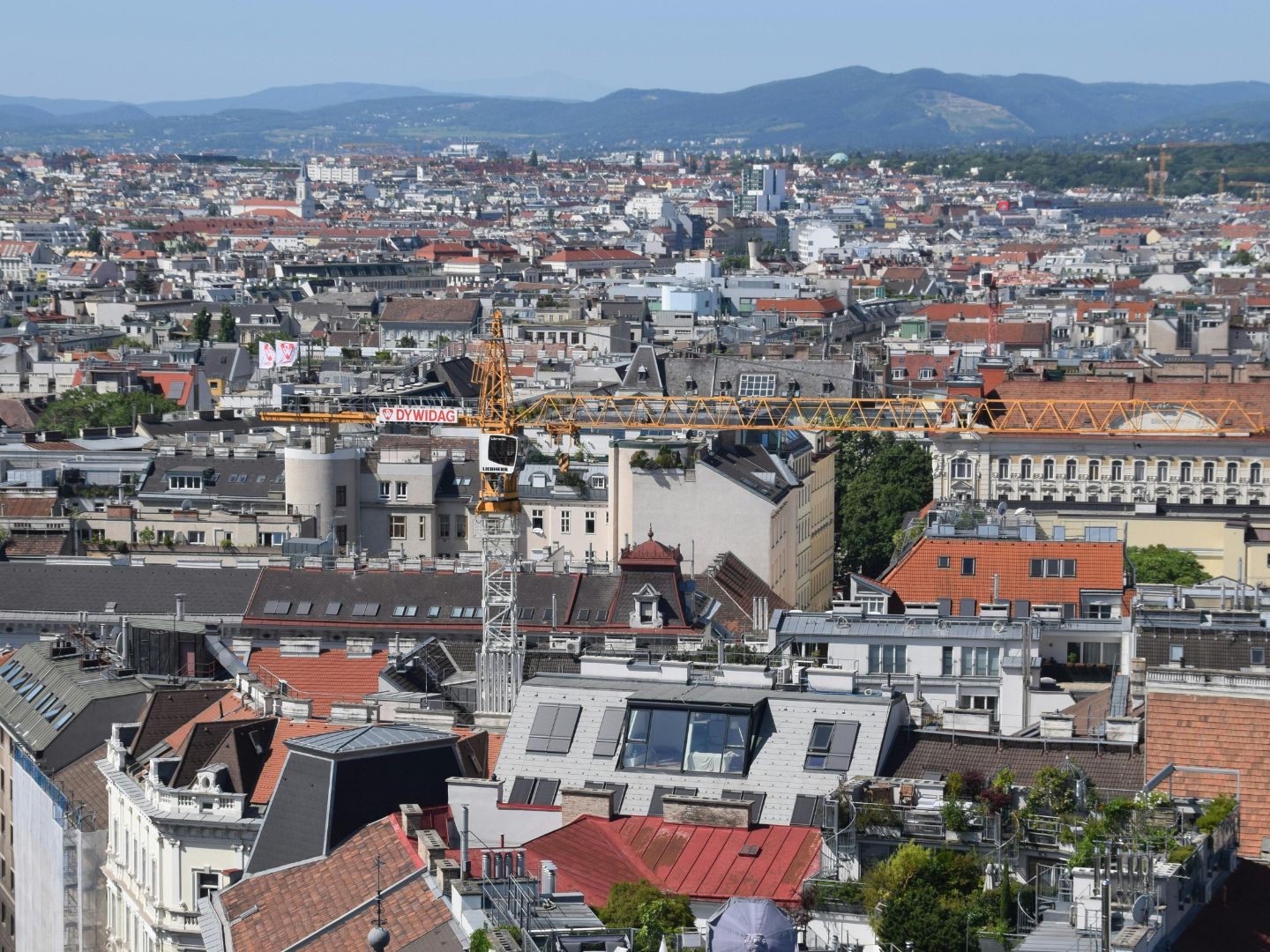 Leistbarer Wohnraum verschwindet: Wiens Ruf als Vorzeigemetropole bröckelt. Leistbarer Wohnraum verschwindet: Wiens Ruf als Vorzeigemetropole bröckelt.