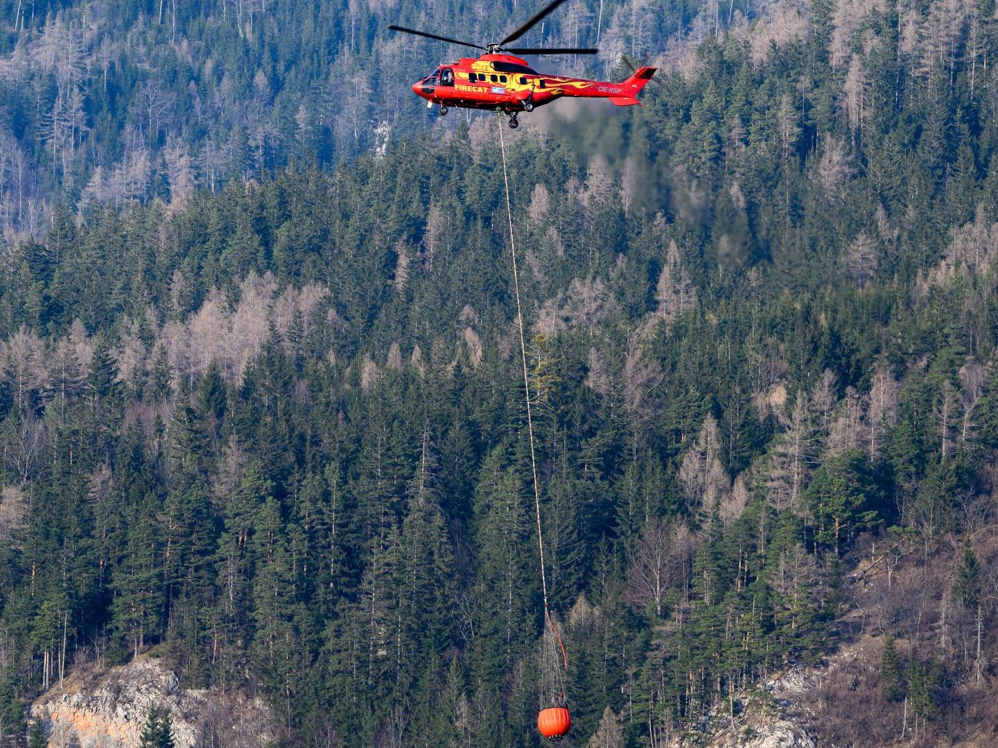 In Österreich wird es immer häufiger zu Waldbränden kommen.