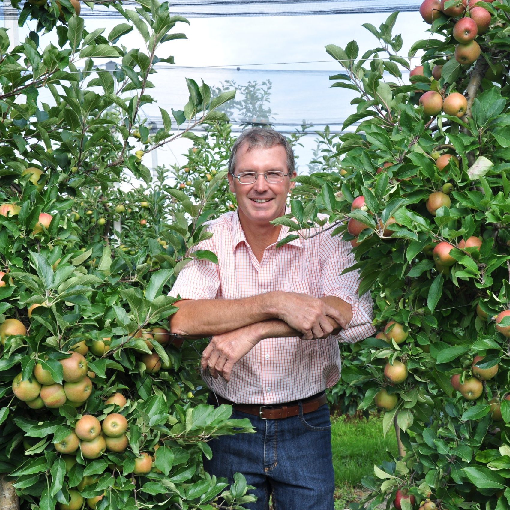 Jens Blum, Apfelbauer in Höchst