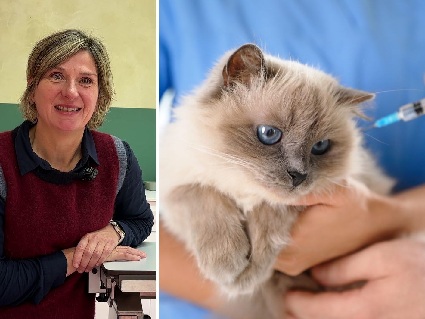 Tierärztin Tanja Warter über Gesundheit und Vorsorge bei Katzen. Tierärztin Tanja Warter über Gesundheit und Vorsorge bei Katzen.