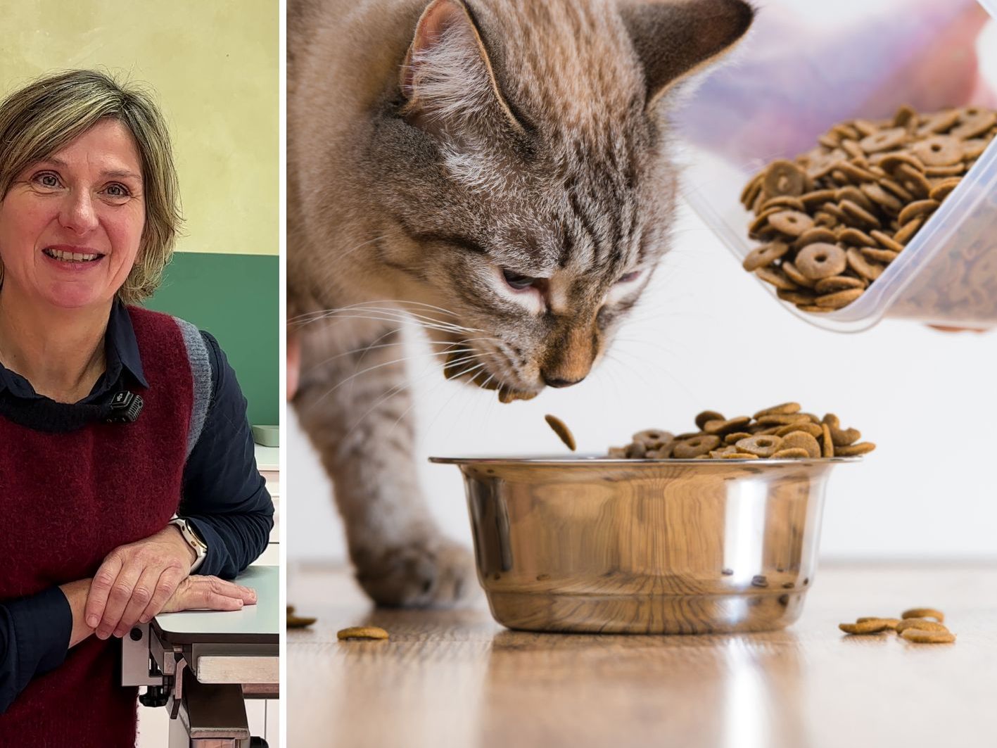 Worauf sollte man beim Füttern von Katzen achten, Frau Warter? Worauf sollte man beim Füttern von Katzen achten, Frau Warter?
