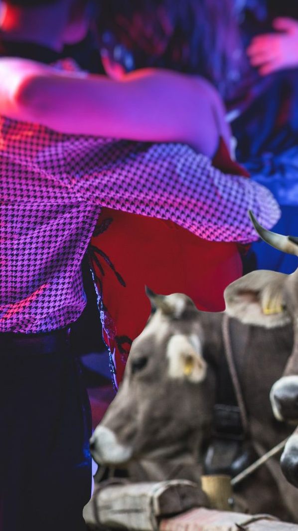 Bauernbälle finden statt, doch so manche Viehausstellung wurde abgesagt.