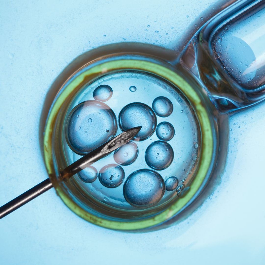 Das Verbot von "Social Egg Freezing" ist laut VfGH verfassungswidrig.