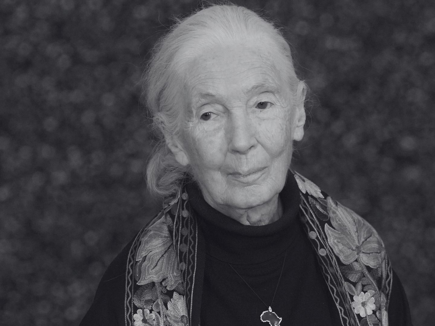 Weltberühmte Affen-Forscherin Jane Goodall ist tot.
