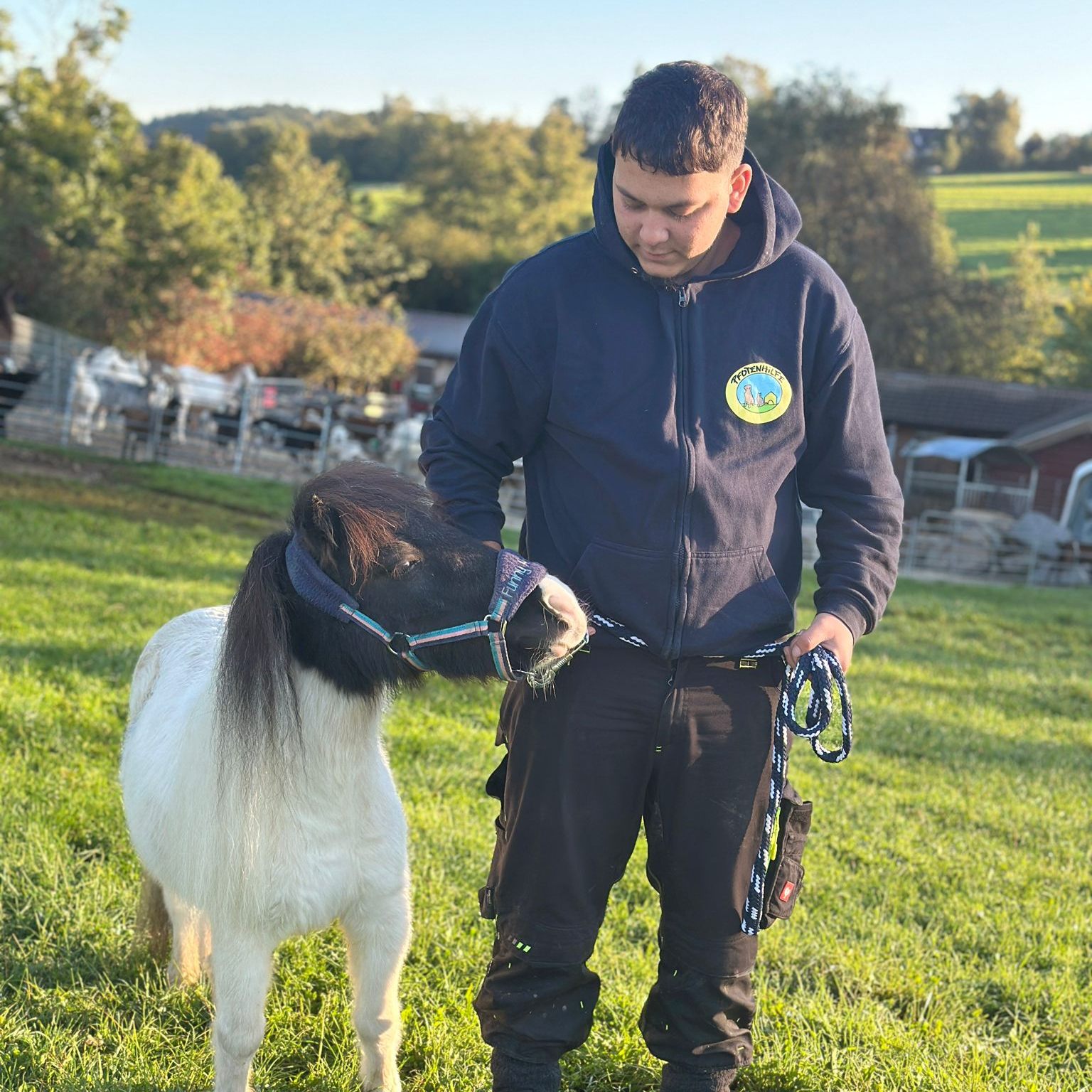 Beim Tierschutzhof Pfotenhilfe ist Helene in guten Händen.