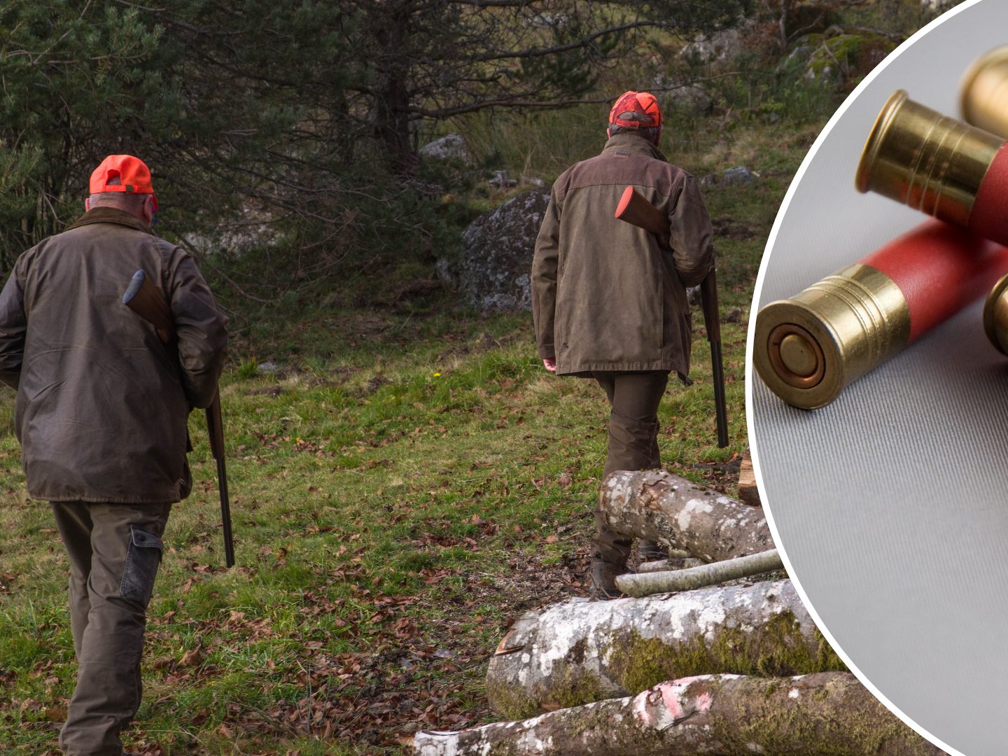 Jagdunfall in OÖ: Jäger will Hasen treffen – und verletzt Kollegen schwer. (Symbolbild)