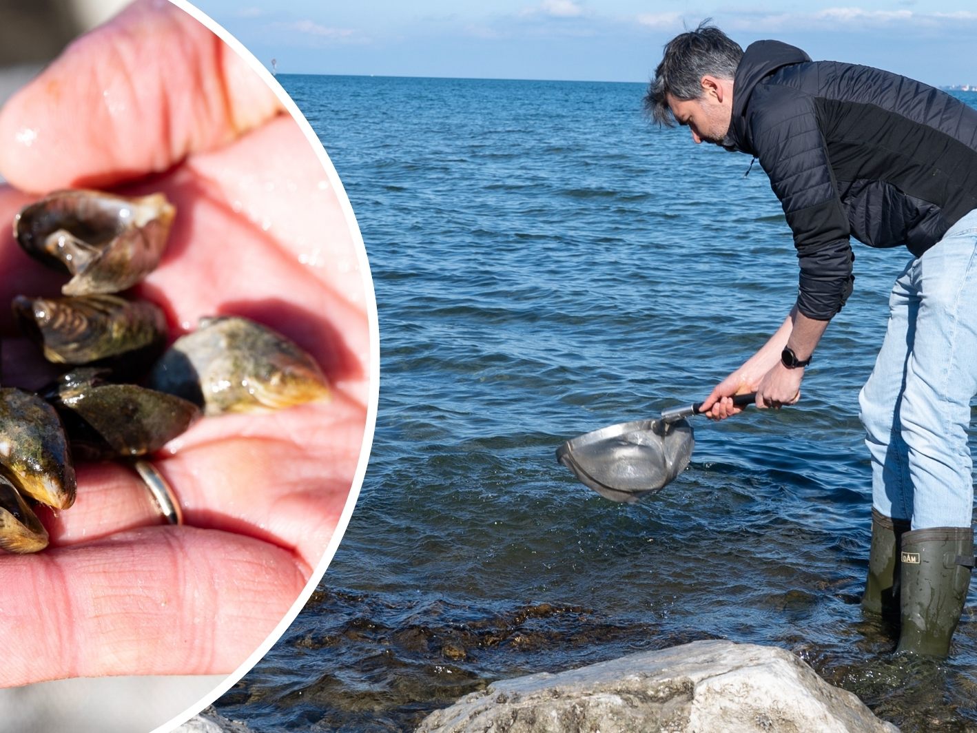 Alexander Düregger (Bild) vom Vorarlberger Umweltinstitut kennt sich mit den Quagga-Muscheln aus.