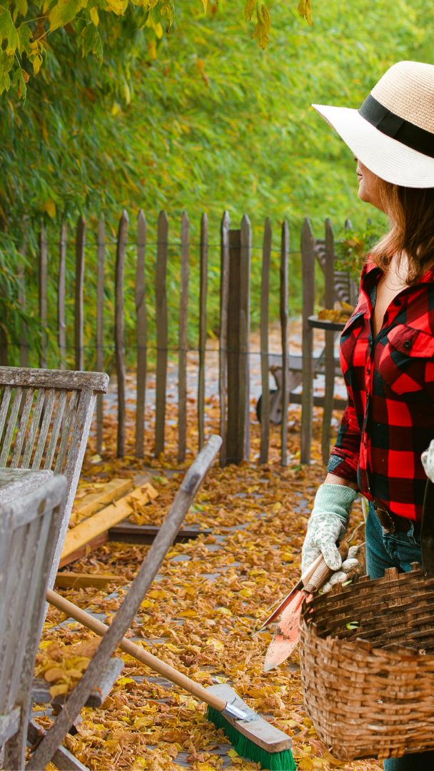 Jetzt Garten winterfest machen: Was Sie im Oktober tun müssen