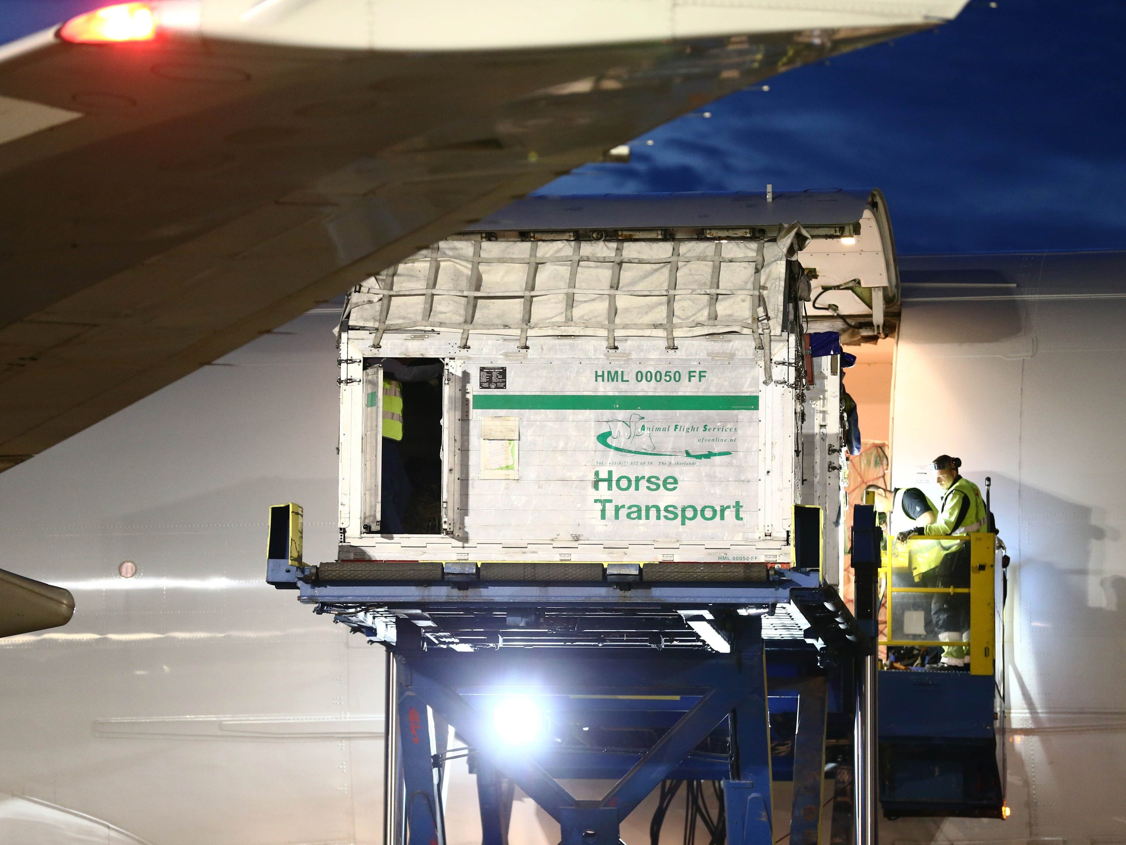 Lufthansa Cargo hat 2024 mehr als 80 Millionen Tiere durch die Welt geflogen, wie ihre Bilanz zeigt. Darunter waren 2800 Pferde, 14.000 Haustiere und 200 Zootiere. Fotos: Shutterstock; Jeppe Gustafsson;EQRoy Lufthansa Cargo hat 2024 mehr als 80 Millionen Tiere durch die Welt geflogen, wie ihre Bilanz zeigt. Darunter waren 2800 Pferde, 14.000 Haustiere und 200 Zootiere. Fotos: Shutterstock; Jeppe Gustafsson;EQRoy