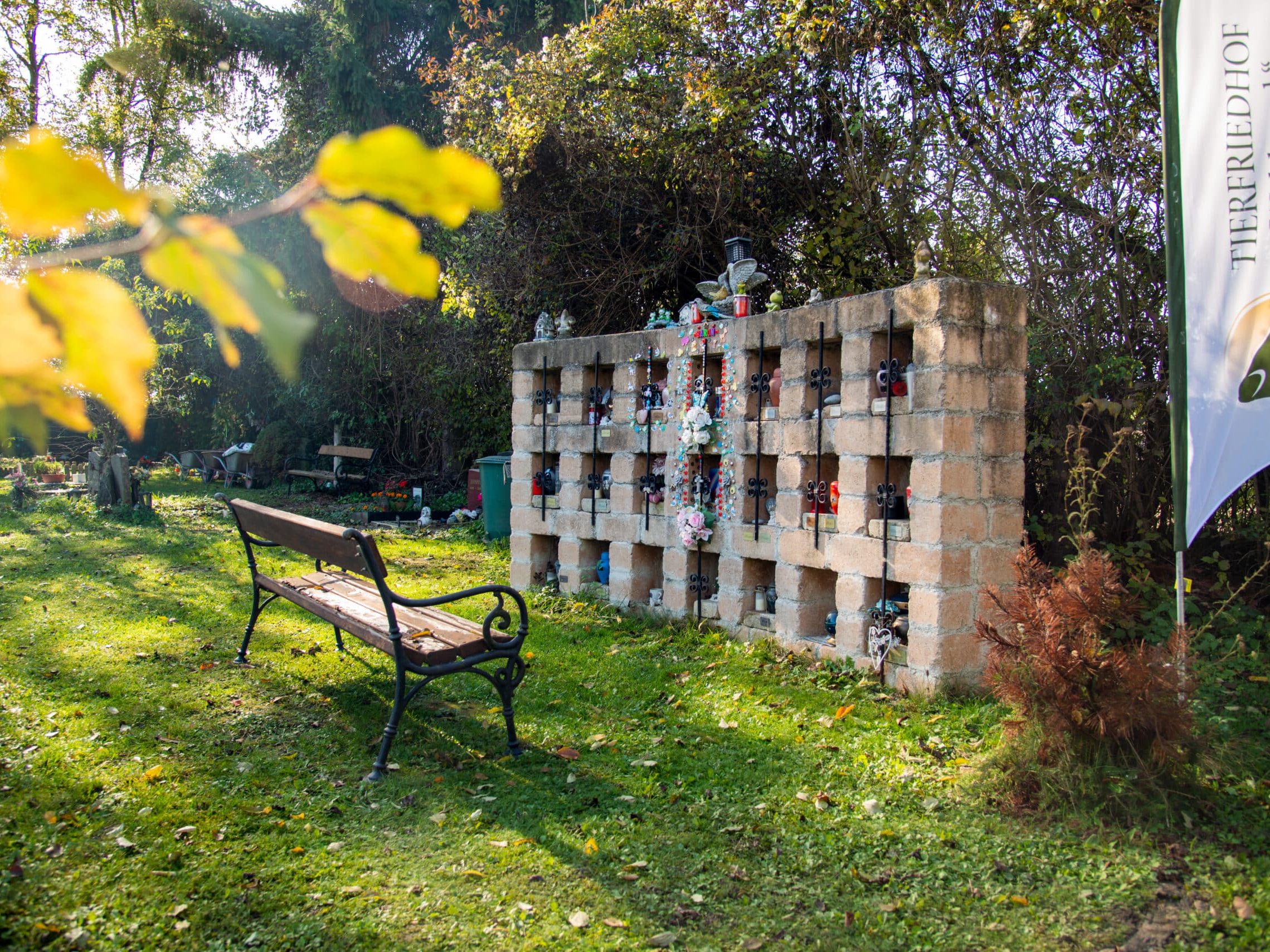 An Allerheiligen gedenken viele auch verstorbenen tierischen Begleitern.