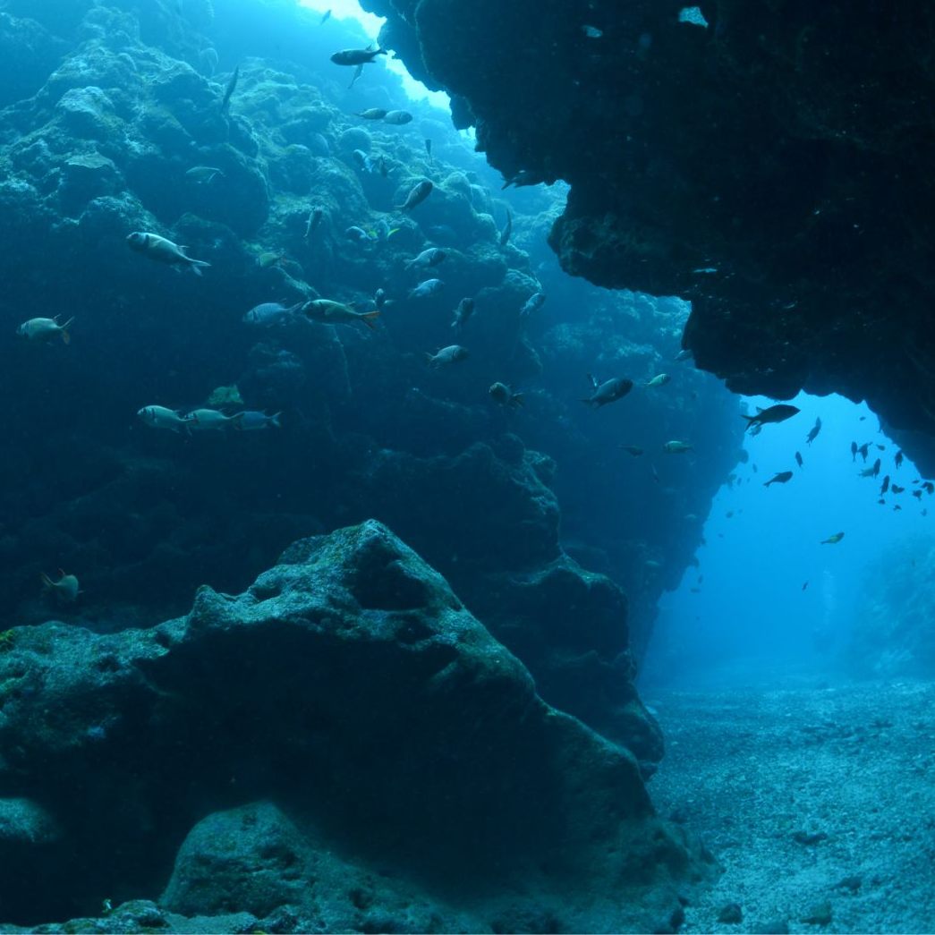 Forscher machen beunruhigende Entdeckung im Rossmeer (Symbolbild)