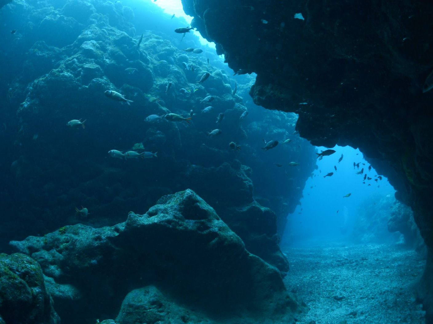 Forscher machen beunruhigende Entdeckung im Rossmeer (Symbolbild) Forscher machen beunruhigende Entdeckung im Rossmeer (Symbolbild)
