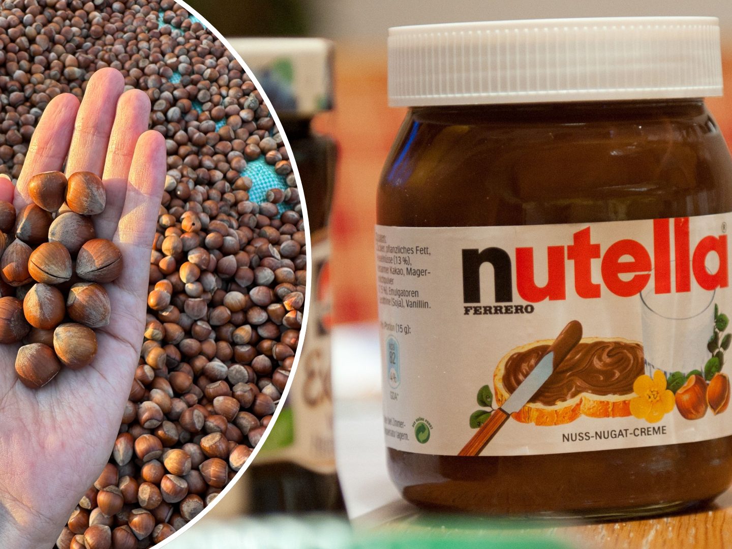 Italiens Haselnussernte ist eingebrochen, die Preise für Nusscremes und Nussschokolade ziehen deutlich an. Italiens Haselnussernte ist eingebrochen, die Preise für Nusscremes und Nussschokolade ziehen deutlich an.