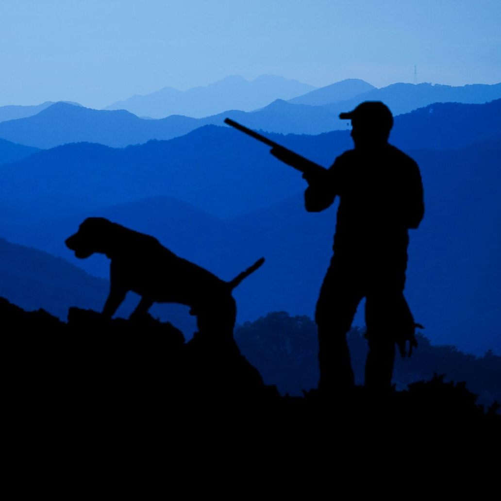 Ein falscher Insolvenzantrag sorgte für Verwirrung.