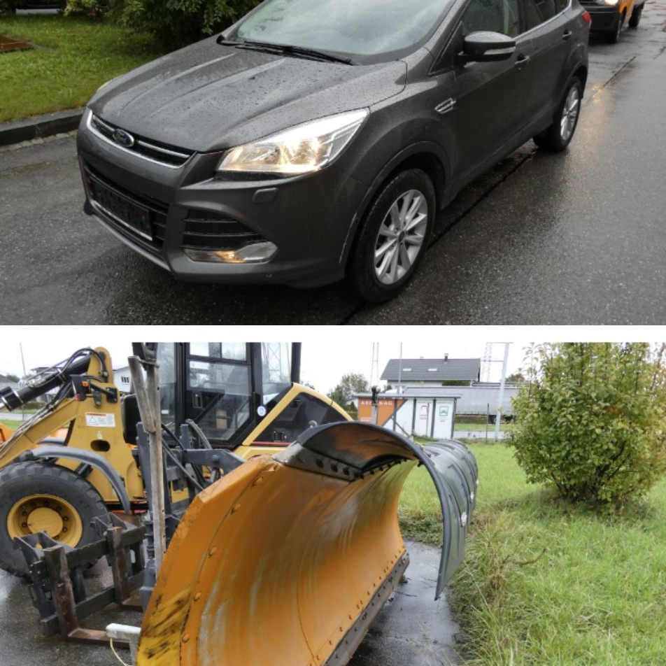 Online-Versteigerung von rund 60 Exponaten läuft noch bis 29. Oktober 2025.