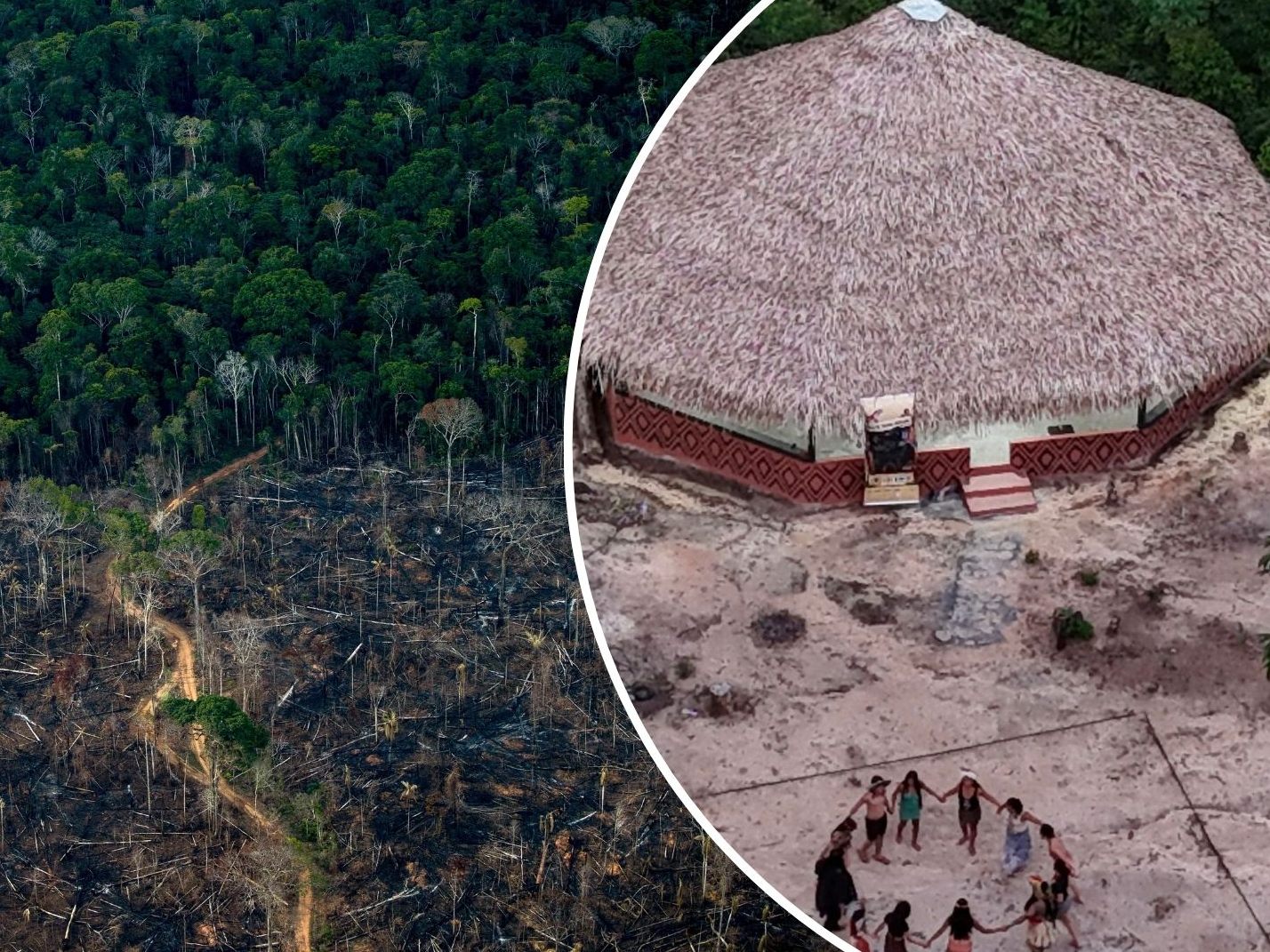 Unter anderem durch die Abholzung von Regenwäldern ist das Übreleben der noch verbliebenen rund 200 unkontaktierten Völker der Erde gefährdet.