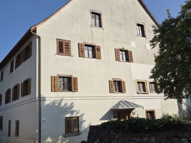 Bauhistorische-Untersuchung-im-Z-rcherhaus-brachte-Sensation
