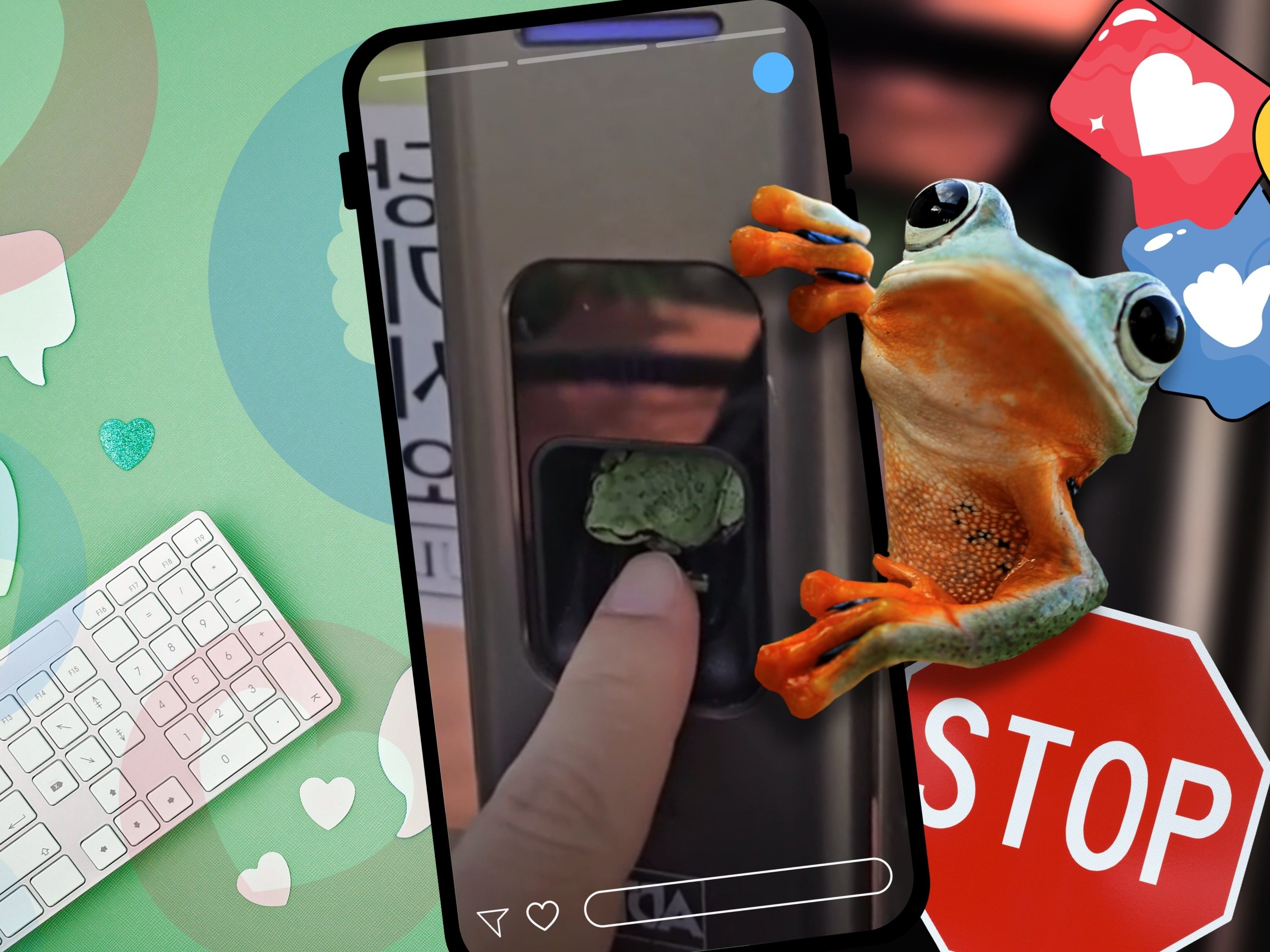 Frosch-blockiert-Zugang-zu-B-ro-in-S-dkorea