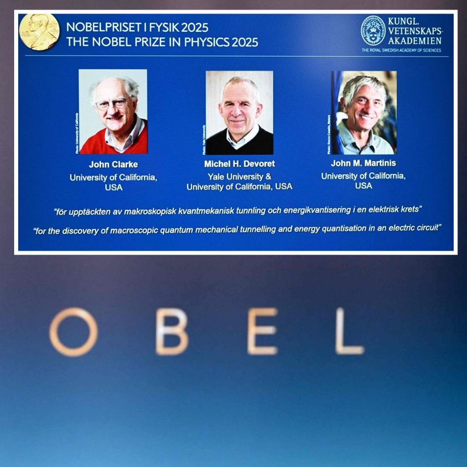 Auszeichnung mit elf Millionen Schwedischen Kronen dotiert.