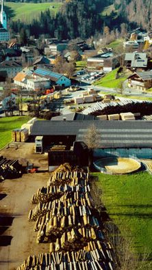 Keine Zukunft für das Sägewerk in Egg.