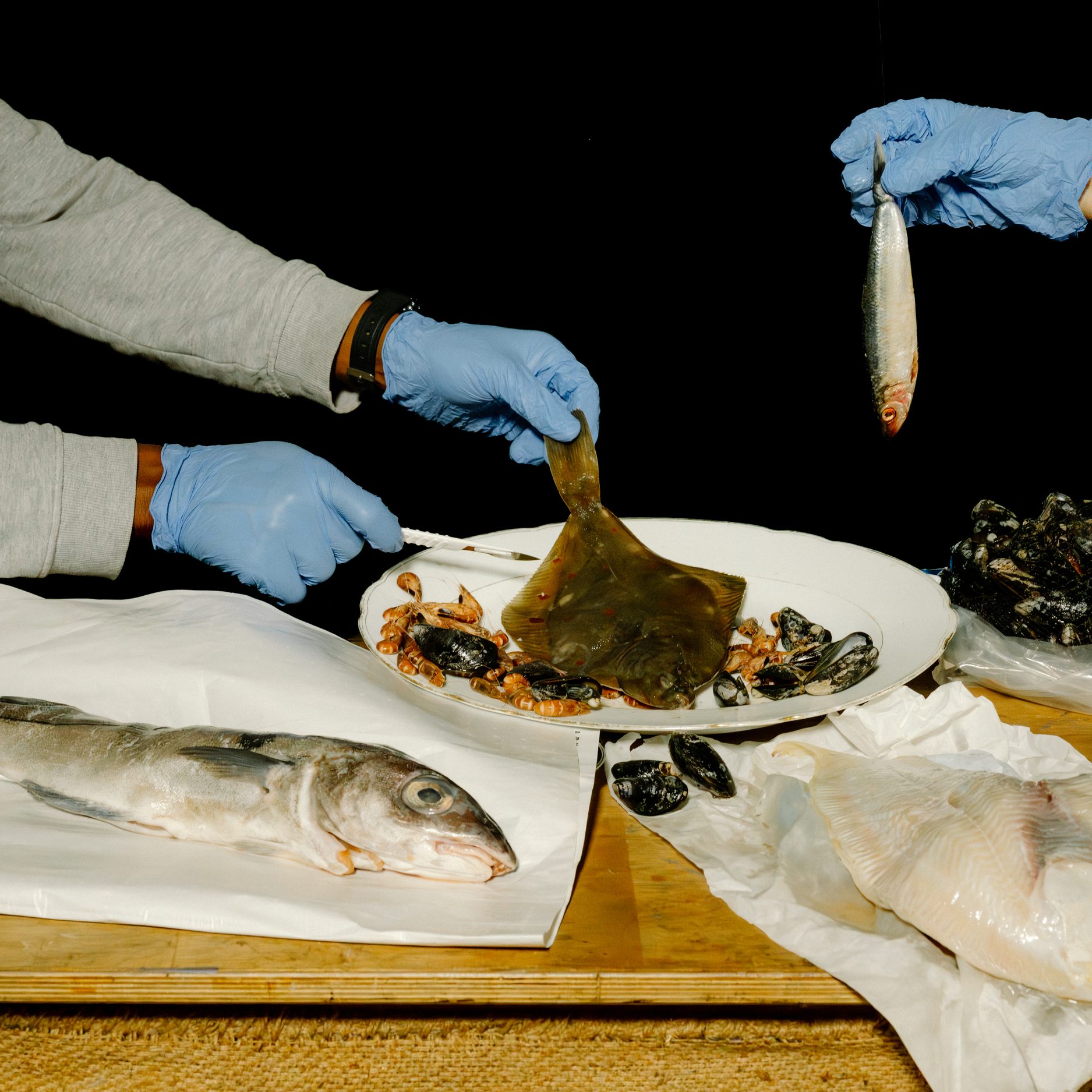 Viele der in den Fischen nachgewiesenen Stoffe seien in der EU längst verboten.