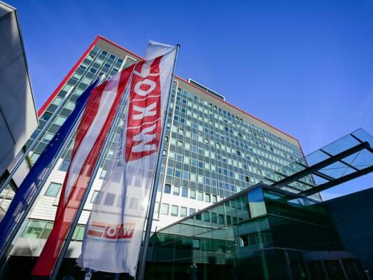 SWV-Chef-Hinteregger-will-quot-gr-te-WKO-Reform-aller-Zeiten-quot-