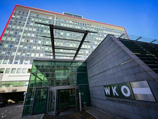 WK-FP-und-NEOS-fordern-R-cknahme-der-Bez-ge-Erh-hungen