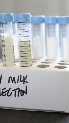 In den USA findet sich abgetötetes H5N1 in der Milch
