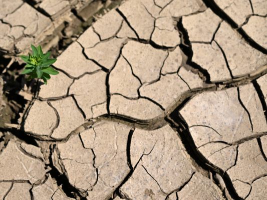 Umfrage: Ein Großteil der Bevölkerung nimmt die Klimakrise ernst