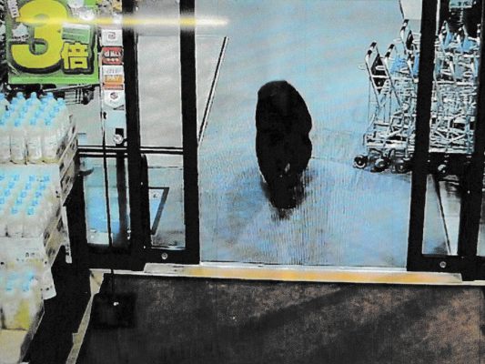 Japan-schickt-Armee-in-den-Kampf-gegen-B-ren