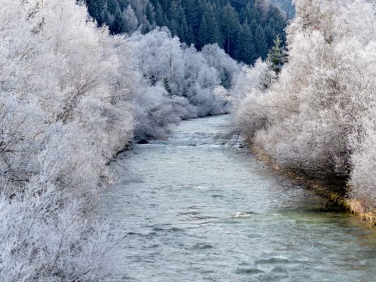 Slowenien-und-sterreich-renaturieren-an-der-Mur