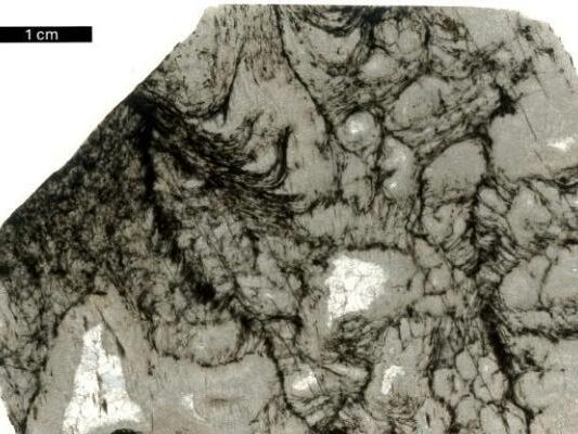 Forscher-und-KI-fanden-quot-Echo-des-Lebens-quot-in-uraltem-Gestein